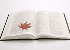 开云体育网络异常修复-北京国安取得关键胜利，逼近积分榜前三