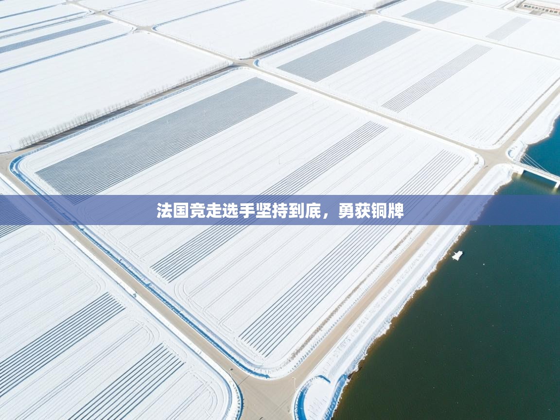 开云体育账号申诉通道-法国竞走选手坚持到底,勇获铜牌 第3张