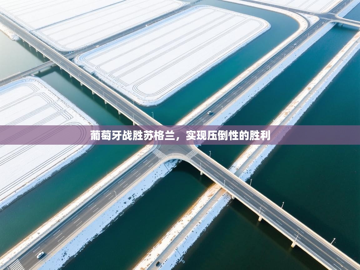 开云体育新人指引-葡萄牙战胜苏格兰，实现压倒性的胜利  第2张