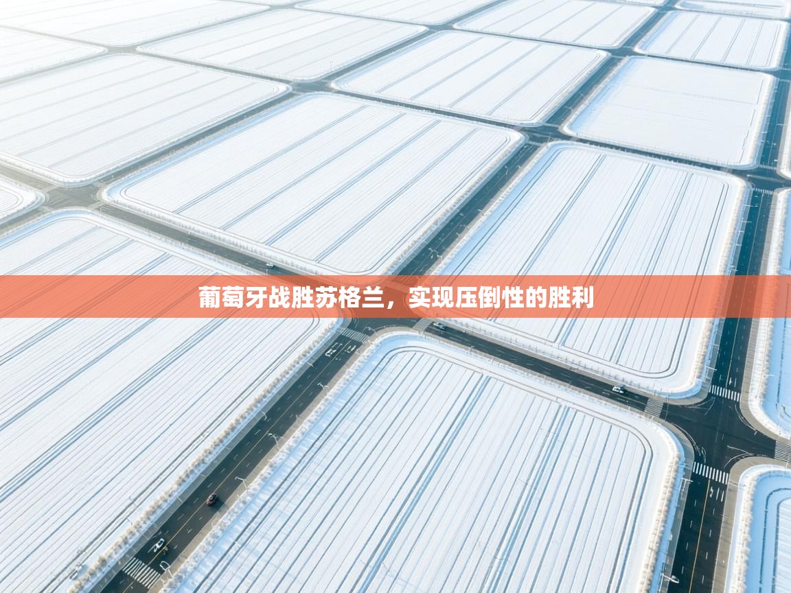 开云体育新人指引-葡萄牙战胜苏格兰，实现压倒性的胜利  第3张