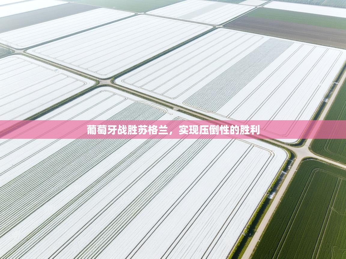 开云体育新人指引-葡萄牙战胜苏格兰，实现压倒性的胜利  第4张