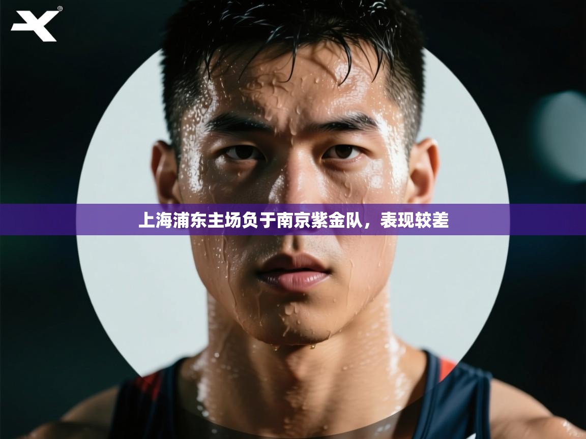 开云体育注册下载-上海浦东主场负于南京紫金队，表现较差  第2张