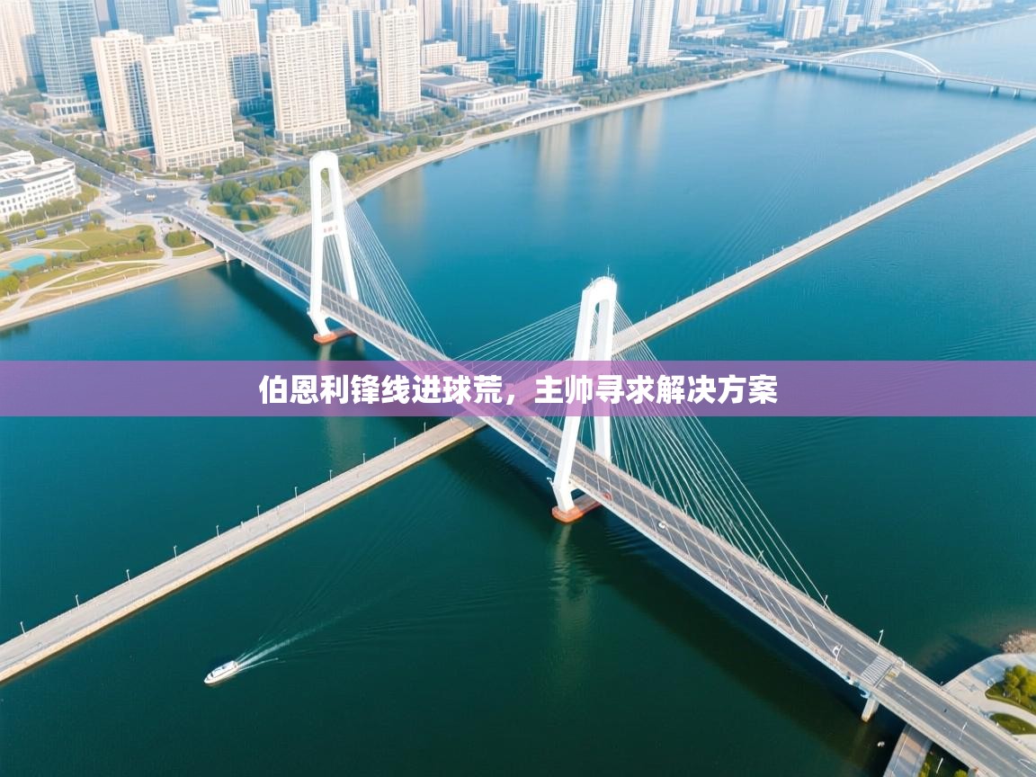 开云官网-伯恩利锋线进球荒，主帅寻求解决方案  第2张