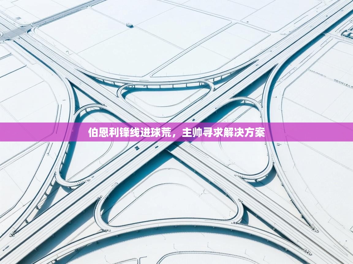 开云官网-伯恩利锋线进球荒，主帅寻求解决方案  第4张