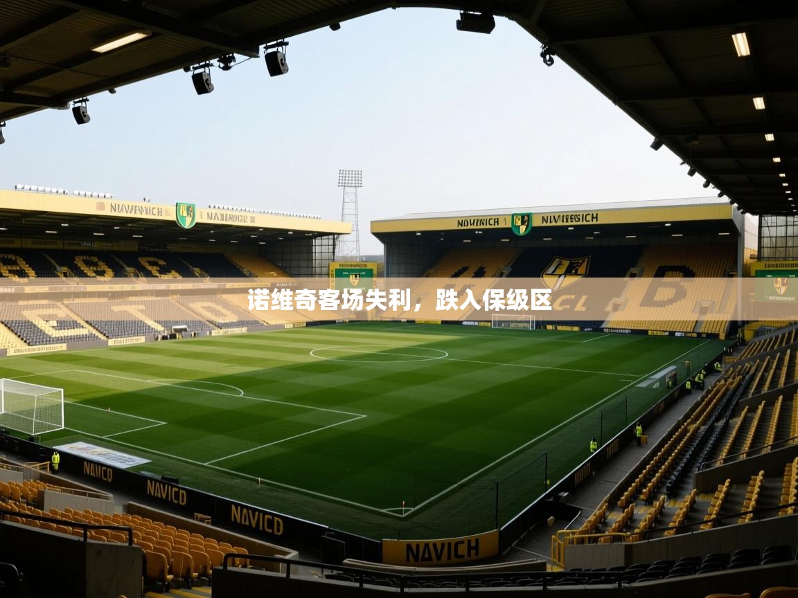 开云体育账号申诉通道-诺维奇客场失利，跌入保级区