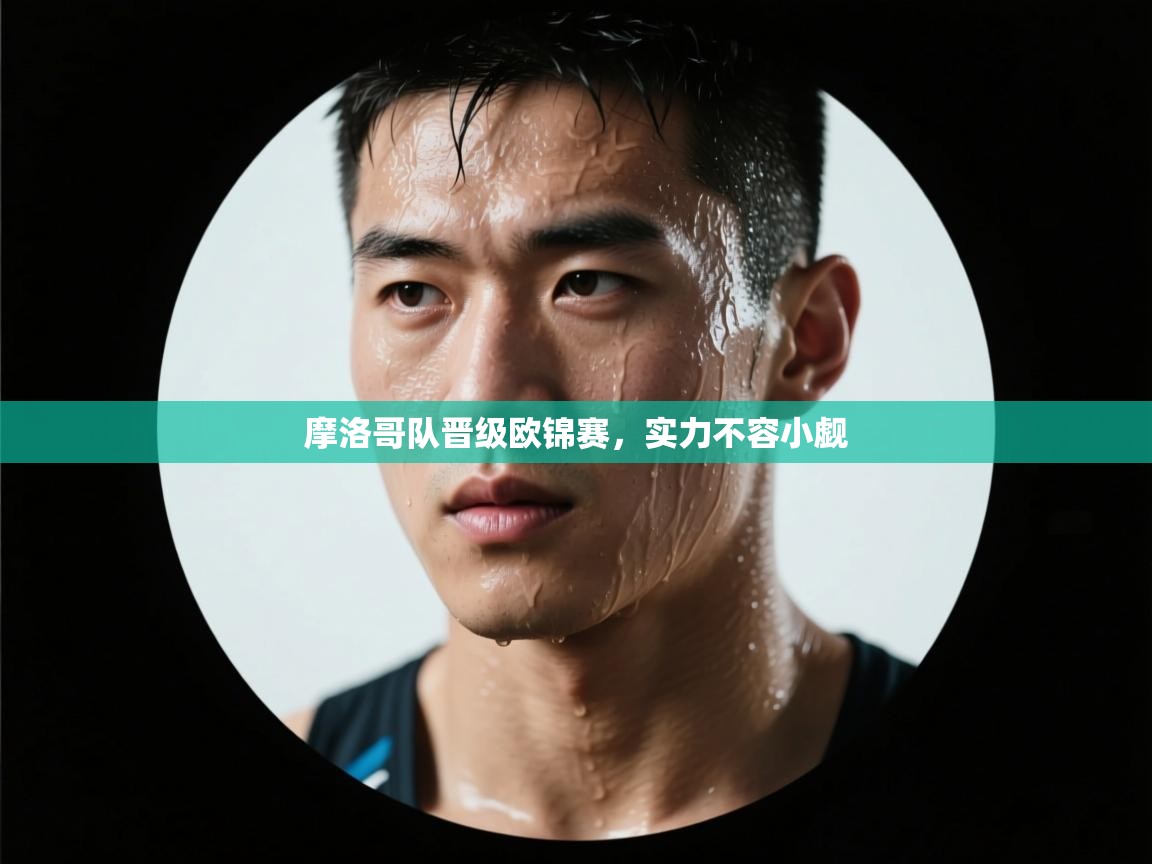 开云体育app-摩洛哥队晋级欧锦赛，实力不容小觑  第4张