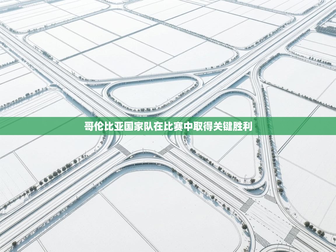 开云入口-哥伦比亚国家队在比赛中取得关键胜利  第1张