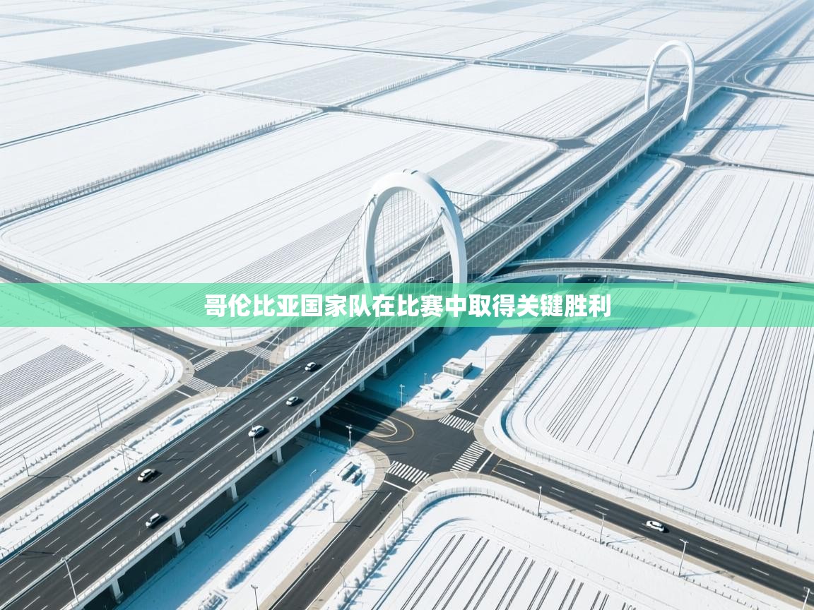 开云入口-哥伦比亚国家队在比赛中取得关键胜利  第3张